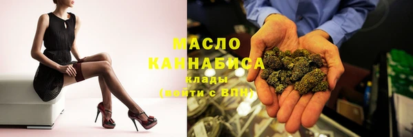 дмт Надым