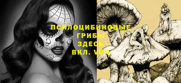 дмт Надым