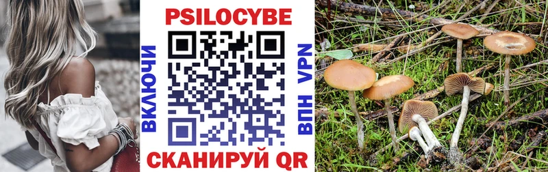 продажа наркотиков  Стрежевой  Псилоцибиновые грибы Psilocybine cubensis 